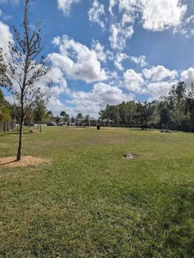 New Tampa Dog Park - Tampa, FL