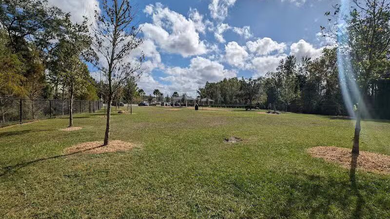New Tampa Dog Park - Tampa, FL
