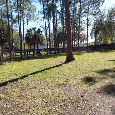 New Tampa Rotary Dog Park - Tampa, FL