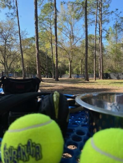 New Tampa Rotary Dog Park - Tampa, FL