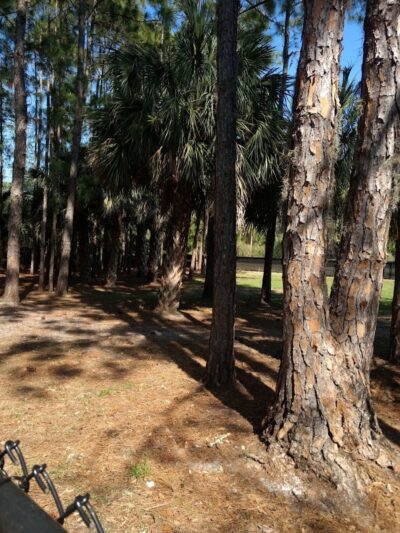 New Tampa Rotary Dog Park - Tampa, FL