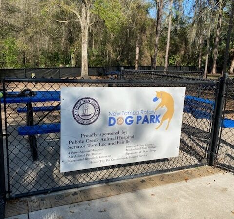 New Tampa Rotary Dog Park - Tampa, FL