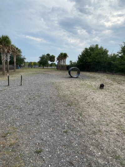 Northwest County Dog Park - Tampa, FL