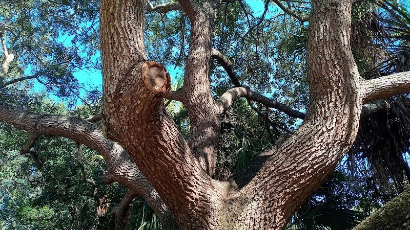 Palma Ceia Park - Tampa, FL