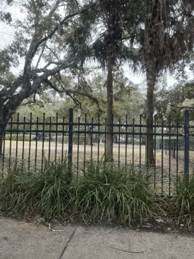 Palma Ceia Park - Tampa, FL