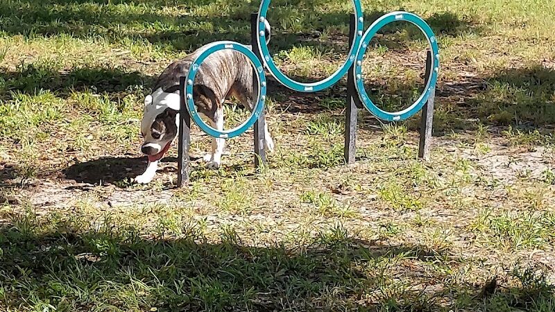 Parker’s Landing Dog Park - Tampa, FL