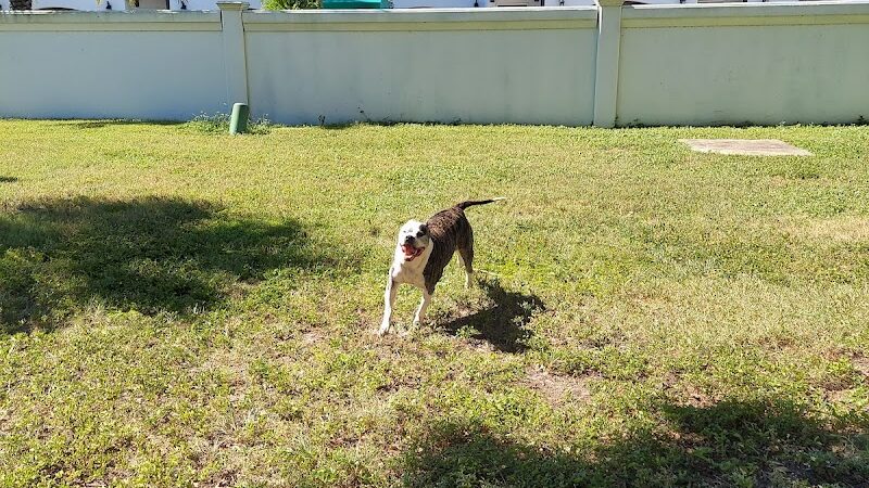 Parker’s Landing Dog Park - Tampa, FL