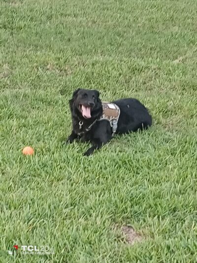 Parker’s Landing Dog Park - Tampa, FL