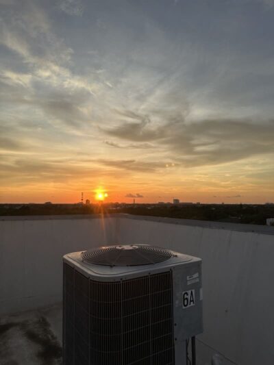 Post Hyde Park Dog Park - Tampa, FL