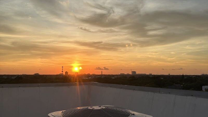 Post Hyde Park Dog Park - Tampa, FL