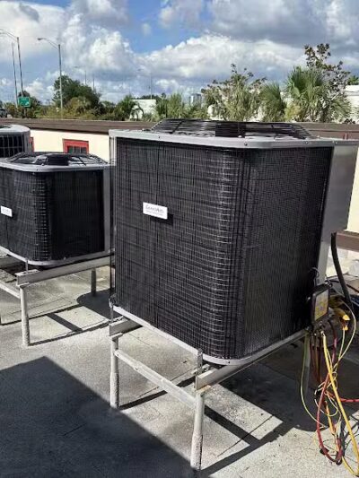 Post Hyde Park Dog Park - Tampa, FL