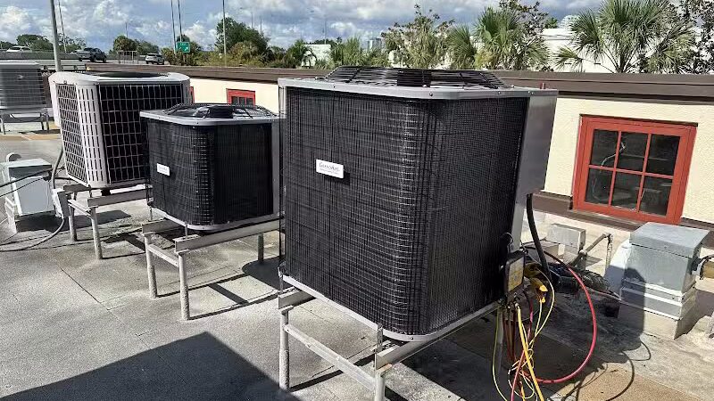 Post Hyde Park Dog Park - Tampa, FL