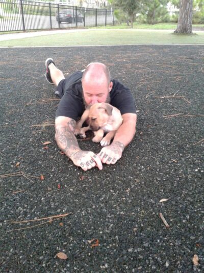 Queenie's Dog Park - Tampa, FL