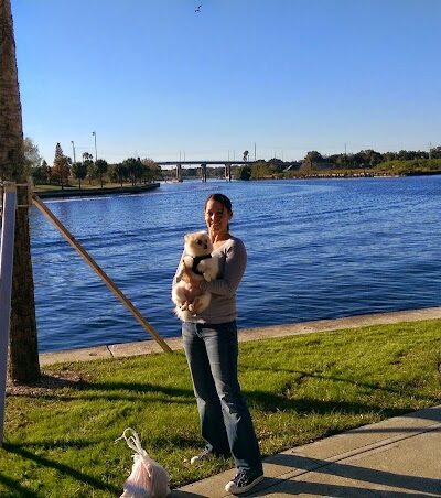 Queenie's Dog Park - Tampa, FL