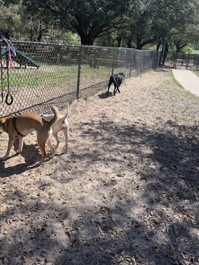 Rowlett Dog Park - Tampa, FL