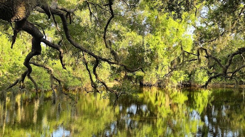 Rowlett Dog Park - Tampa, FL