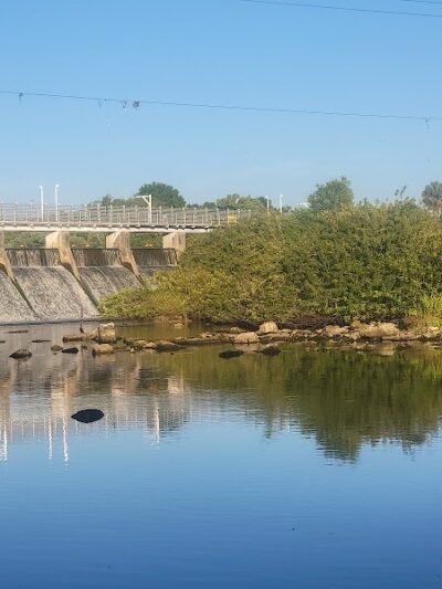 Rowlett Dog Park - Tampa, FL