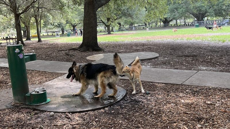 Rowlett Dog Park - Tampa, FL