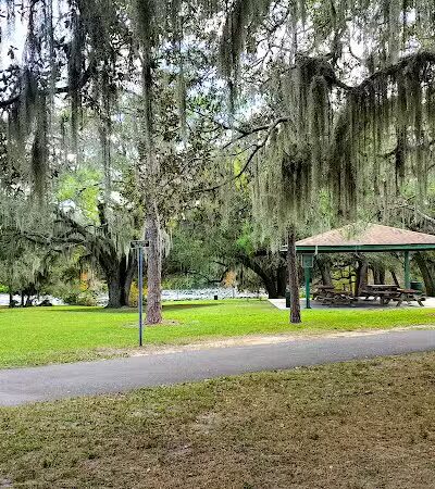 Rowlett Dog Park - Tampa, FL