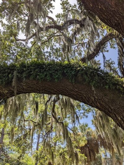 Swann Park - Tampa, FL