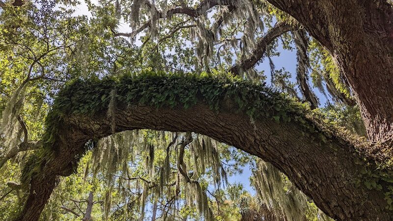 Swann Park - Tampa, FL