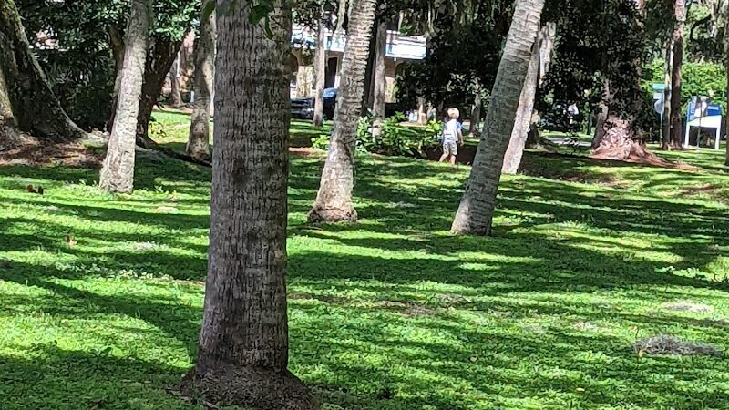 Swann Park - Tampa, FL