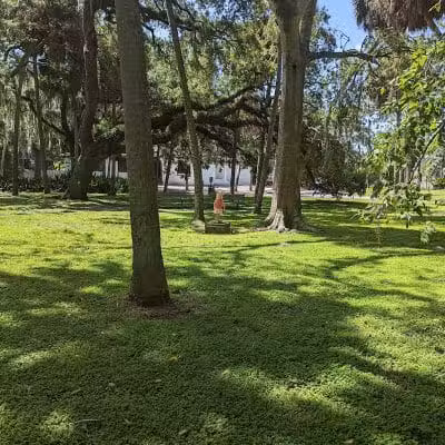 Swann Park - Tampa, FL