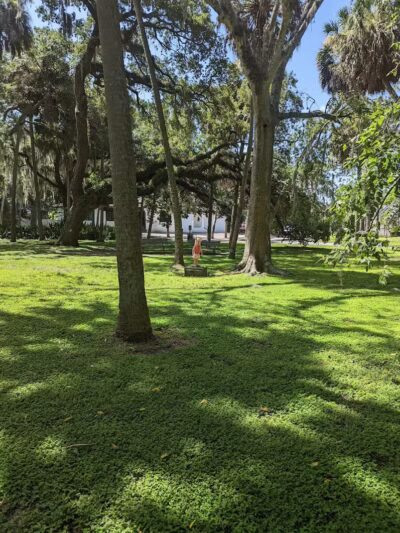 Swann Park - Tampa, FL