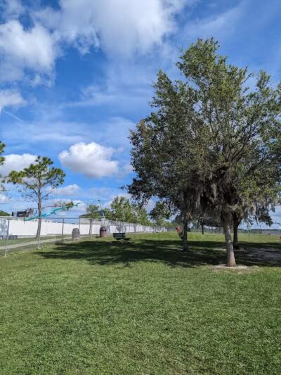 Temple Terrace Hilltop Dog Park - Tampa, FL