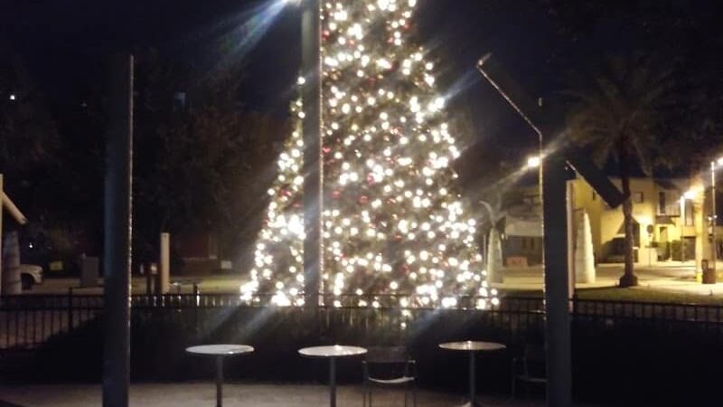 Washington Street Park - Tampa, FL