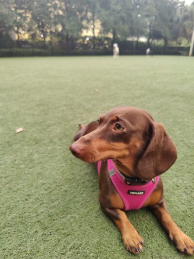 Washington Street Park - Tampa, FL