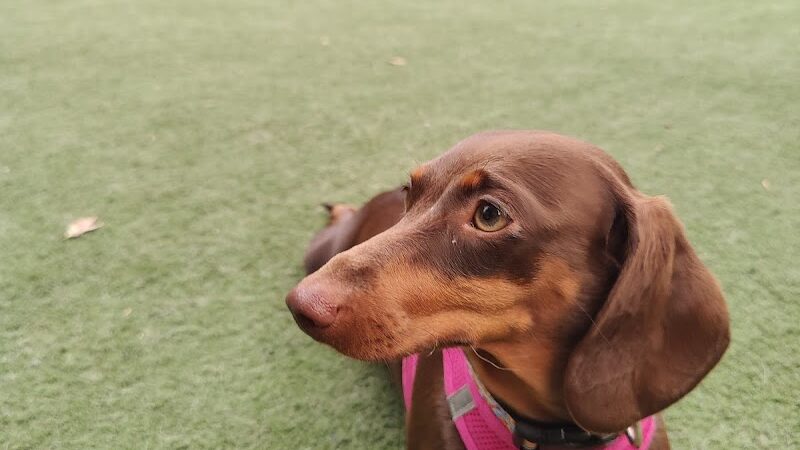 Washington Street Park - Tampa, FL