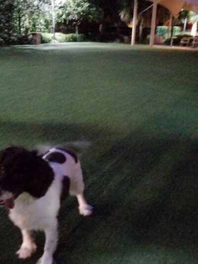 Washington Street Park - Tampa, FL