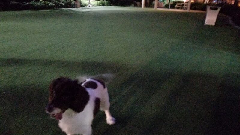 Washington Street Park - Tampa, FL