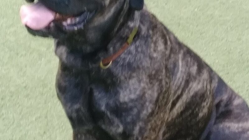 Washington Street Park - Tampa, FL