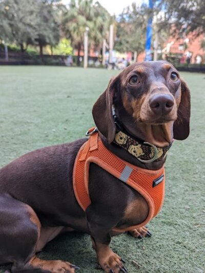 Washington Street Park - Tampa, FL