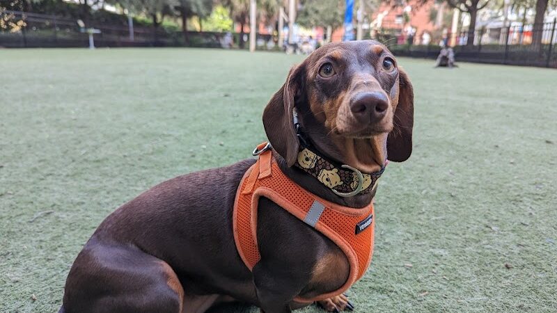 Washington Street Park - Tampa, FL