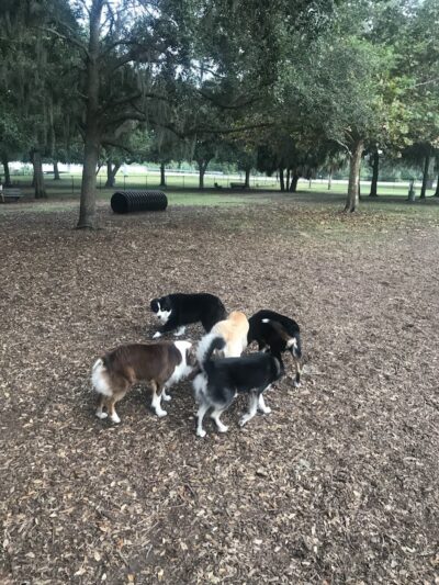 Washington Street Park - Tampa, FL