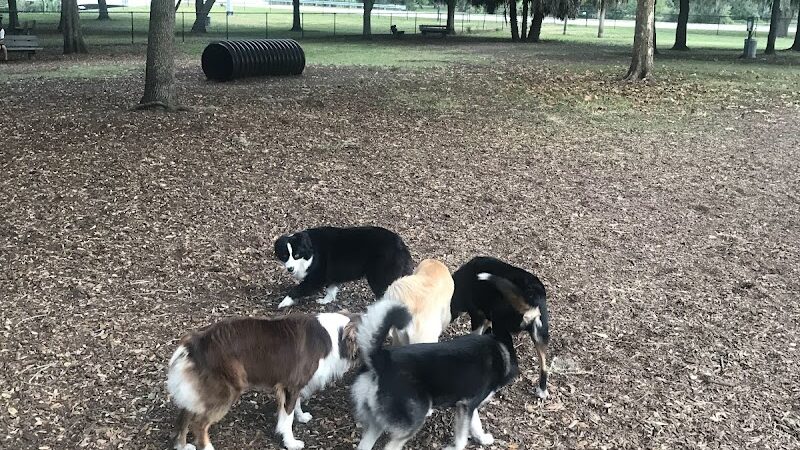 Washington Street Park - Tampa, FL