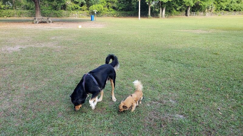 West Dog Park - Tampa, FL