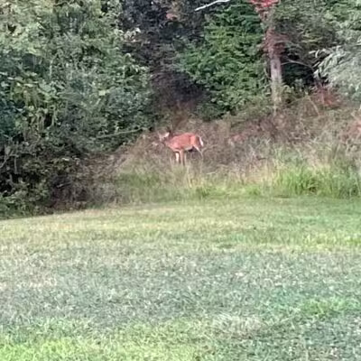 Deer Lakes Park - Tarentum, PA