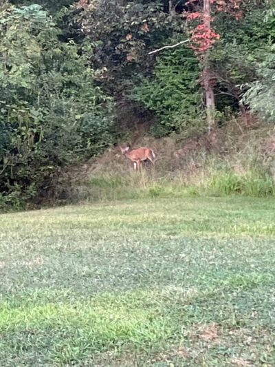 Deer Lakes Park - Tarentum, PA