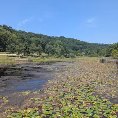 Deer Lakes Park - Tarentum, PA