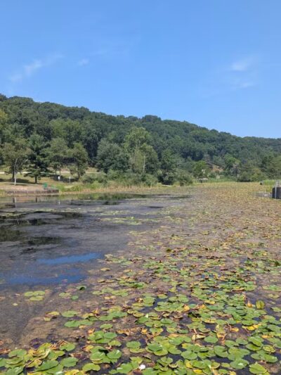 Deer Lakes Park - Tarentum, PA
