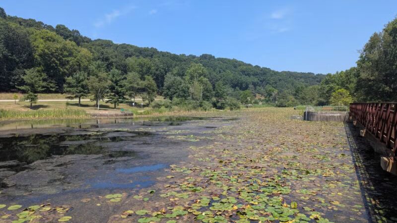 Deer Lakes Park - Tarentum, PA