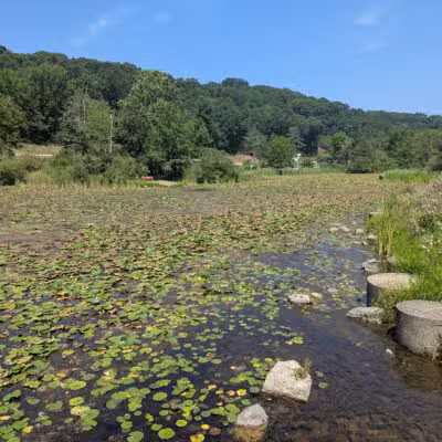 Deer Lakes Park - Tarentum, PA