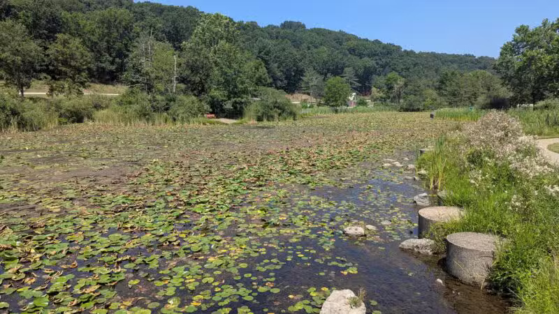 Deer Lakes Park - Tarentum, PA