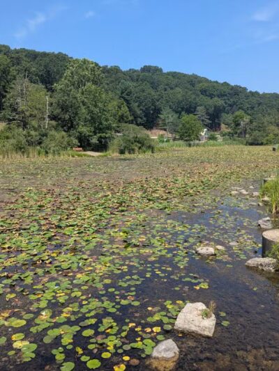 Deer Lakes Park - Tarentum, PA