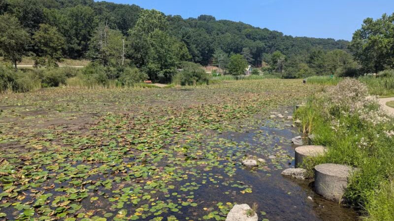 Deer Lakes Park - Tarentum, PA