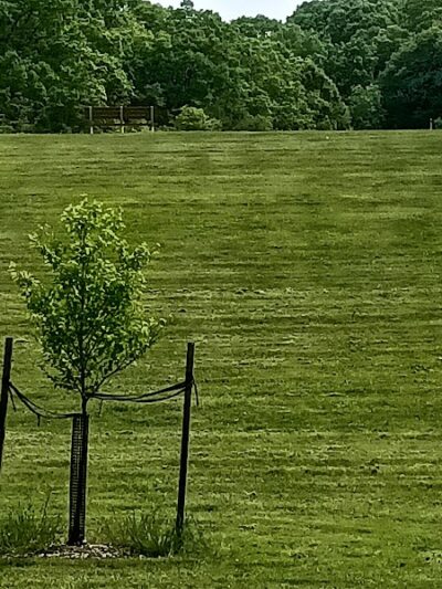 Deer Lakes Park - Tarentum, PA